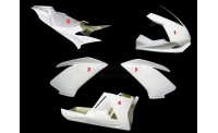 GRAND PRIX PACK APRILIA RSV4-2009 ET +PRACTICE BLACK