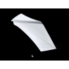 Flanc gauche racing fibre de verre R1 2020-2021