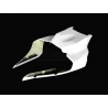 Fiberglass seat undertray R1 2020