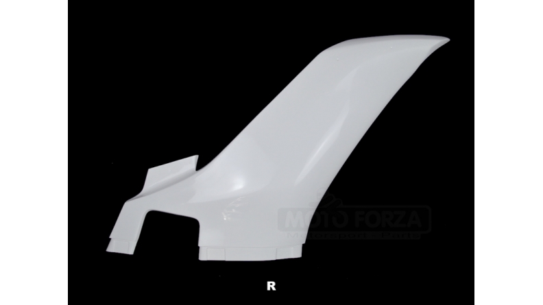 R6 fiberglass right side 2017-2020