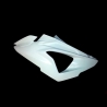 Flanc gauche fibre de verre S1000RR 2012-2014