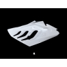 Right side fiberglass S1000RR 09-11