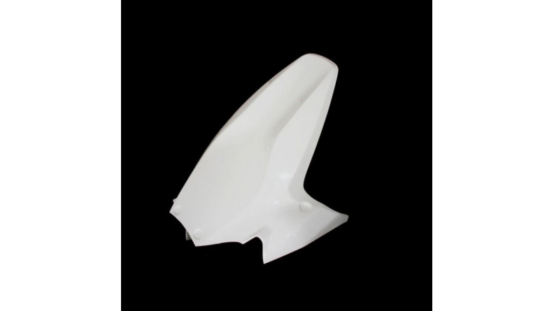 Panigale 899, 959, 1199, 1299 fiberglass rear fender