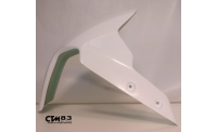 Front fender racing 790/890 DUKE