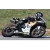 TRIUMPH DAYTONA 675 2006-12 SKULL