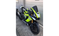 YAMAHA R1 2020 RACE