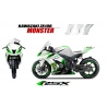 KAWASAKI ZX10R 2011 et + MONSTER-BL