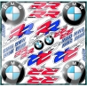 kit sticker BMW S1000rr